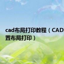 cad布局打印教程（CAD怎么设置布局打印）