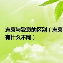 志哀与致哀的区别(志哀和致哀有什么不同)