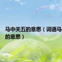 马中关五的意思（词语马中关五的意思）