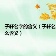 子轩名字的含义（子轩名字有什么含义）