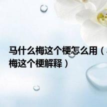 马什么梅这个梗怎么用（马什么梅这个梗解释）
