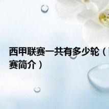 西甲联赛一共有多少轮(西甲联赛简介)