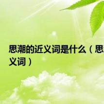 思潮的近义词是什么(思潮的近义词)