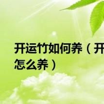 开运竹如何养（开运竹怎么养）