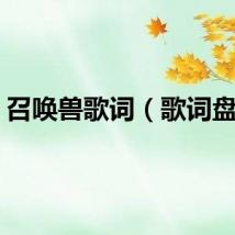 召唤兽歌词（歌词盘点）