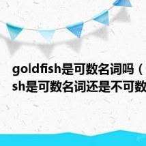 goldfish是可数名词吗(goldfish是可数名词还是不可数名词)