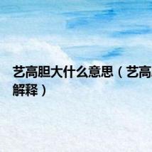 艺高胆大什么意思(艺高胆大的解释)