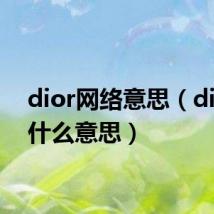 dior网络意思（dior是什么意思）