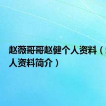 赵薇哥哥赵健个人资料（赵健个人资料简介）