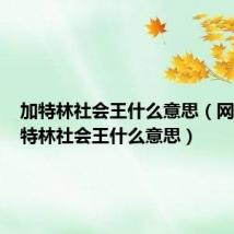 加特林社会王什么意思（网络语加特林社会王什么意思）