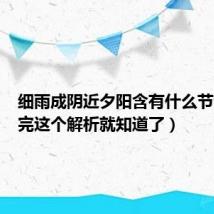细雨成阴近夕阳含有什么节令(看完这个解析就知道了)