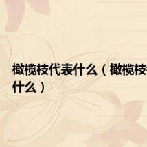 橄榄枝代表什么（橄榄枝都代表什么）