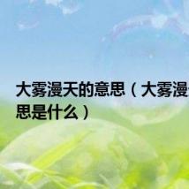 大雾漫天的意思(大雾漫天的意思是什么)