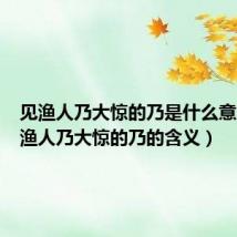 见渔人乃大惊的乃是什么意思(见渔人乃大惊的乃的含义)