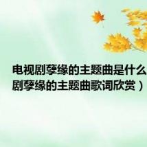 电视剧孽缘的主题曲是什么(电视剧孽缘的主题曲歌词欣赏)