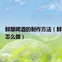 鲜酿啤酒的制作方法(鲜酿啤酒怎么做)