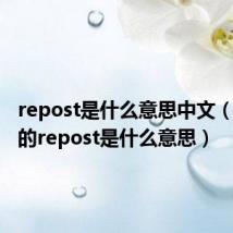 repost是什么意思中文（网络上的repost是什么意思）