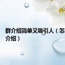 群介绍简单又吸引人（怎么写群介绍）