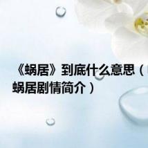 《蜗居》到底什么意思(电视剧蜗居剧情简介)