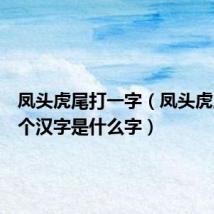 凤头虎尾打一字（凤头虎尾猜一个汉字是什么字）