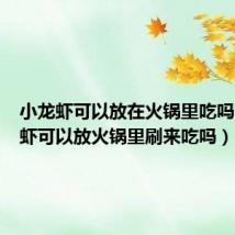 小龙虾可以放在火锅里吃吗(小龙虾可以放火锅里刷来吃吗)