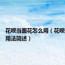 花呗当面花怎么用（花呗当面花用法简述）