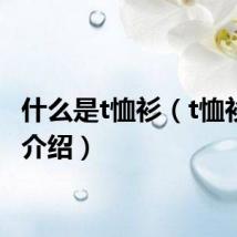 什么是t恤衫(t恤衫简单介绍)
