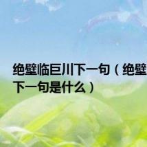绝壁临巨川下一句（绝壁临巨川下一句是什么）