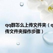 qq群怎么上传文件夹(qq群上传文件夹操作步骤)