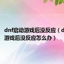 dnf启动游戏后没反应（dnf启动游戏后没反应怎么办）