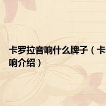 卡罗拉音响什么牌子(卡罗拉音响介绍)