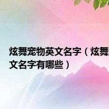 炫舞宠物英文名字（炫舞宠物英文名字有哪些）