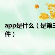 app是什么（是第三方软件）