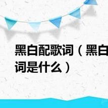 黑白配歌词（黑白配歌词是什么）