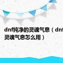 dnf纯净的灵魂气息（dnf纯净的灵魂气息怎么用）