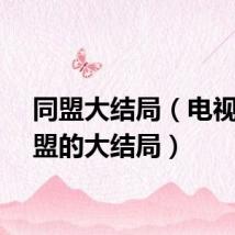 同盟大结局（电视剧同盟的大结局）