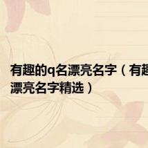有趣的q名漂亮名字(有趣的q名漂亮名字精选)