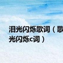 泪光闪烁歌词（歌曲泪光闪烁c词）