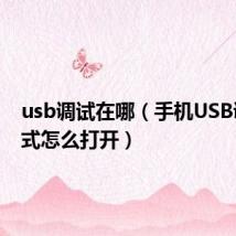 usb调试在哪（手机USB调试模式怎么打开）