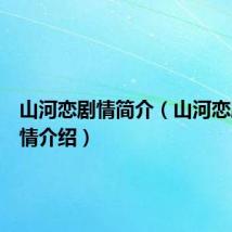 山河恋剧情简介(山河恋剧情剧情介绍)