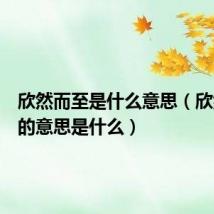 欣然而至是什么意思（欣然而至的意思是什么）