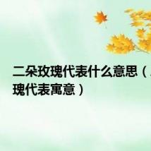 二朵玫瑰代表什么意思(二朵玫瑰代表寓意)