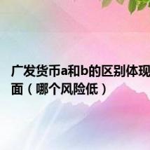 广发货币a和b的区别体现在哪方面（哪个风险低）