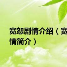 宽恕剧情介绍(宽恕剧情简介)