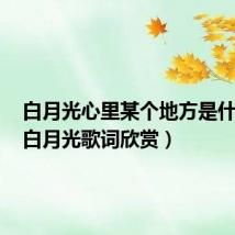 白月光心里某个地方是什么歌（白月光歌词欣赏）