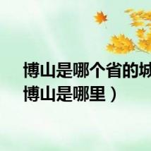 博山是哪个省的城市（博山是哪里）