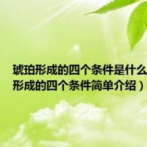 琥珀形成的四个条件是什么（琥珀形成的四个条件简单介绍）