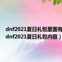 dnf2021夏日礼包里面有什么（dnf2021夏日礼包内容）