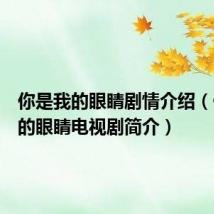 你是我的眼睛剧情介绍(你是我的眼睛电视剧简介)