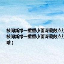 枝间新绿一重重小蕾深藏数点红的意思(枝间新绿一重重小蕾深藏数点红的意思是啥)